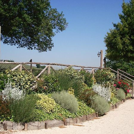 Tenuta Colverano Montefalco Kültér fotó