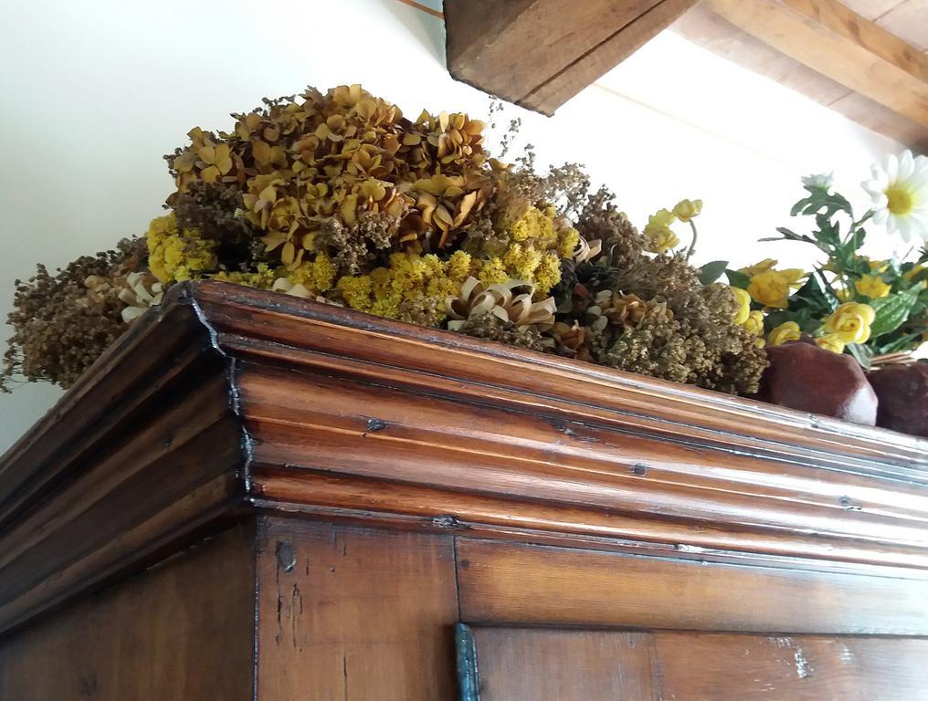 Tenuta Colverano Montefalco Kültér fotó