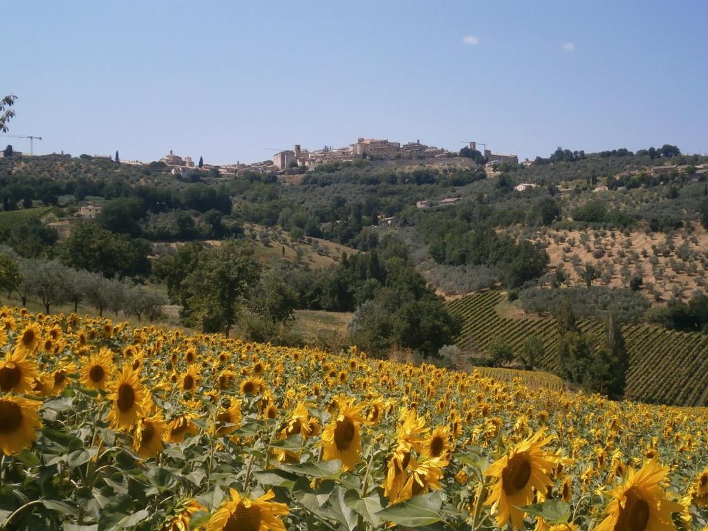 Tenuta Colverano Montefalco Kültér fotó