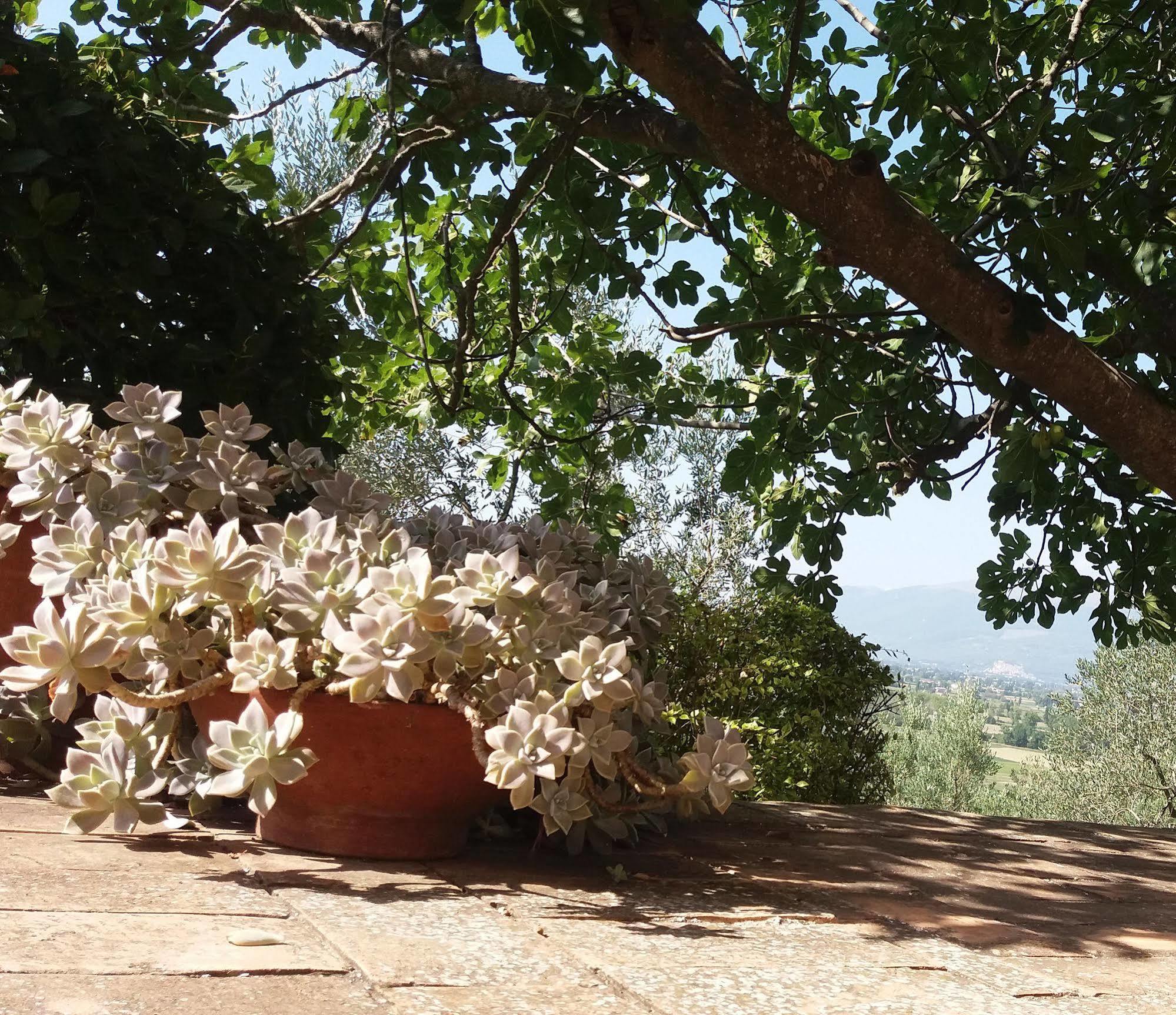 Tenuta Colverano Montefalco Kültér fotó