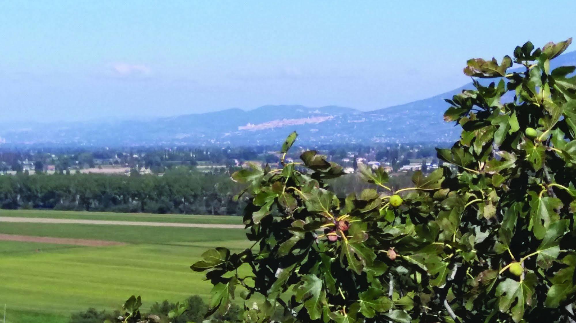 Tenuta Colverano Montefalco Kültér fotó