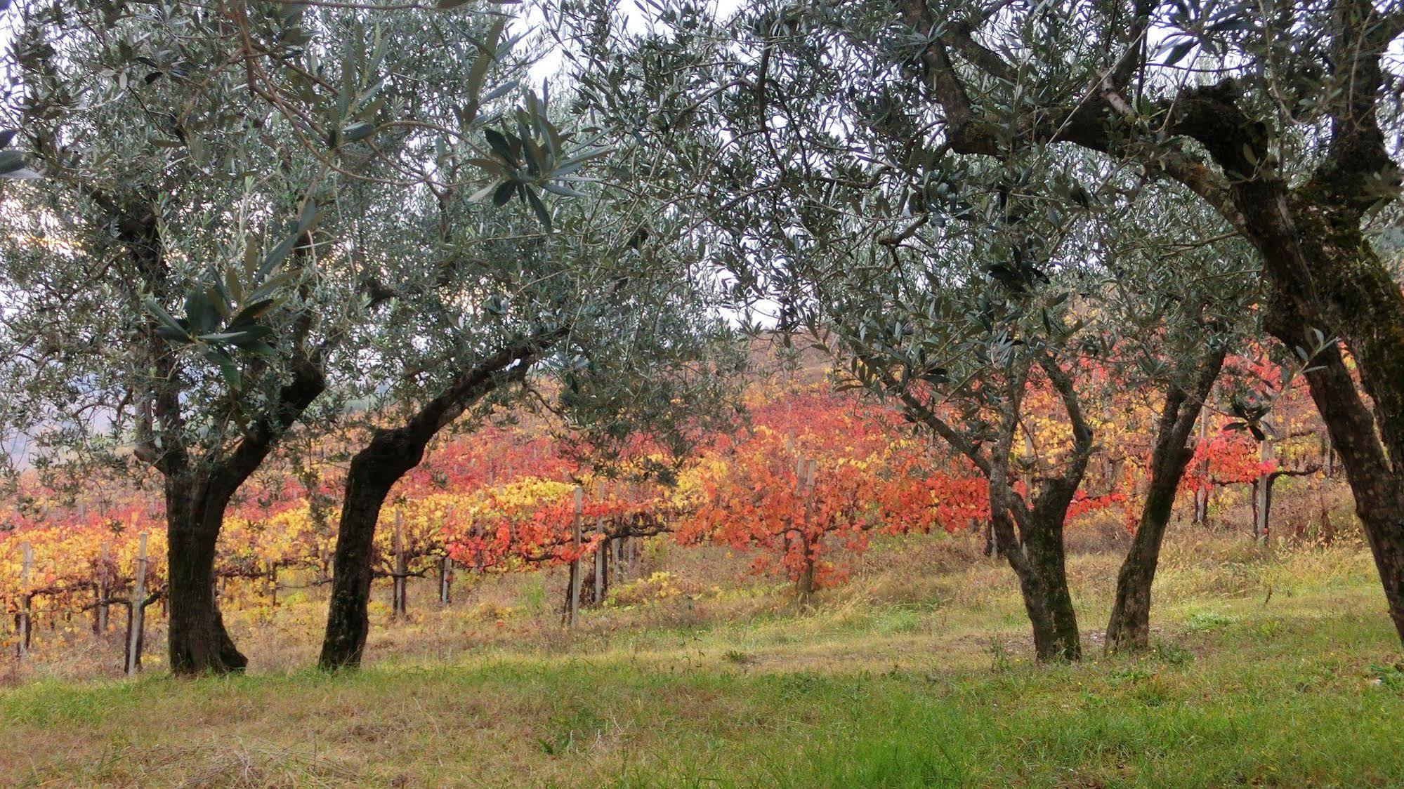 Tenuta Colverano Montefalco Kültér fotó